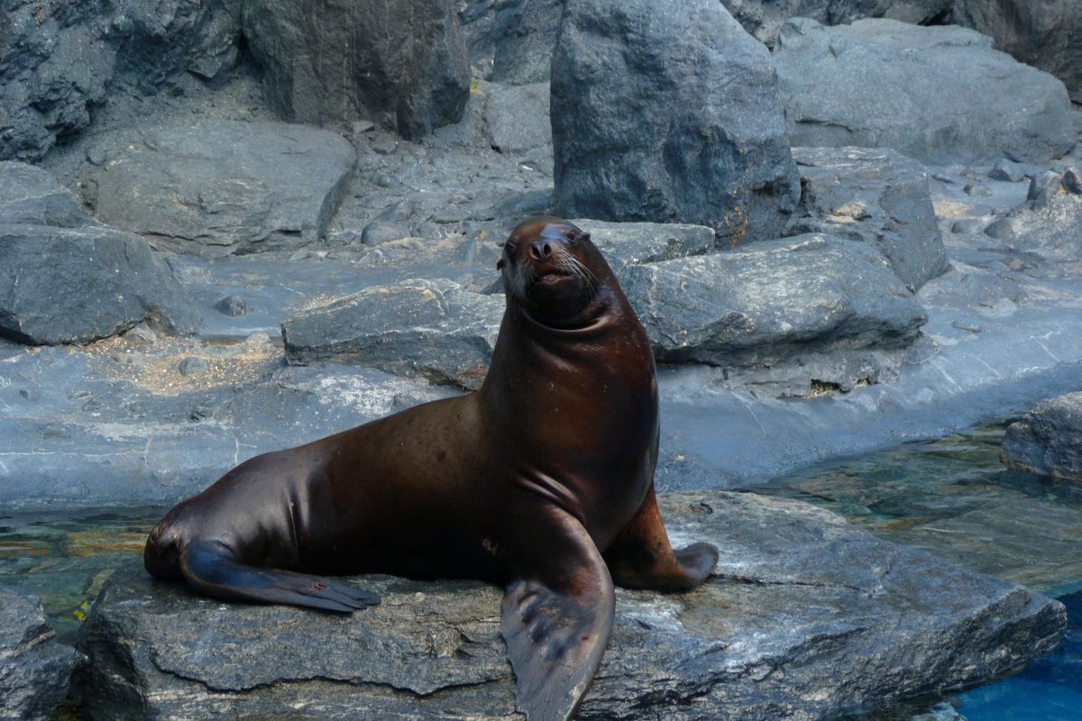 Mystic Aquarium - Gallery Image 2